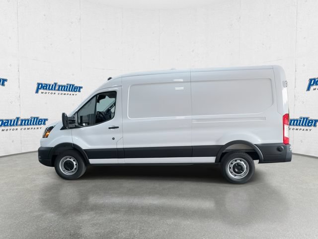 New 2026 Ford Transit 250 148 Medium Roof w/ Load Area Protection Package RWD image 7