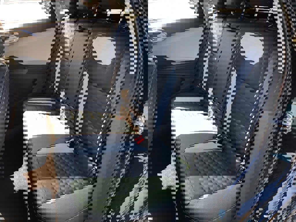 New 2025 Volkswagen Taos SEL image 34