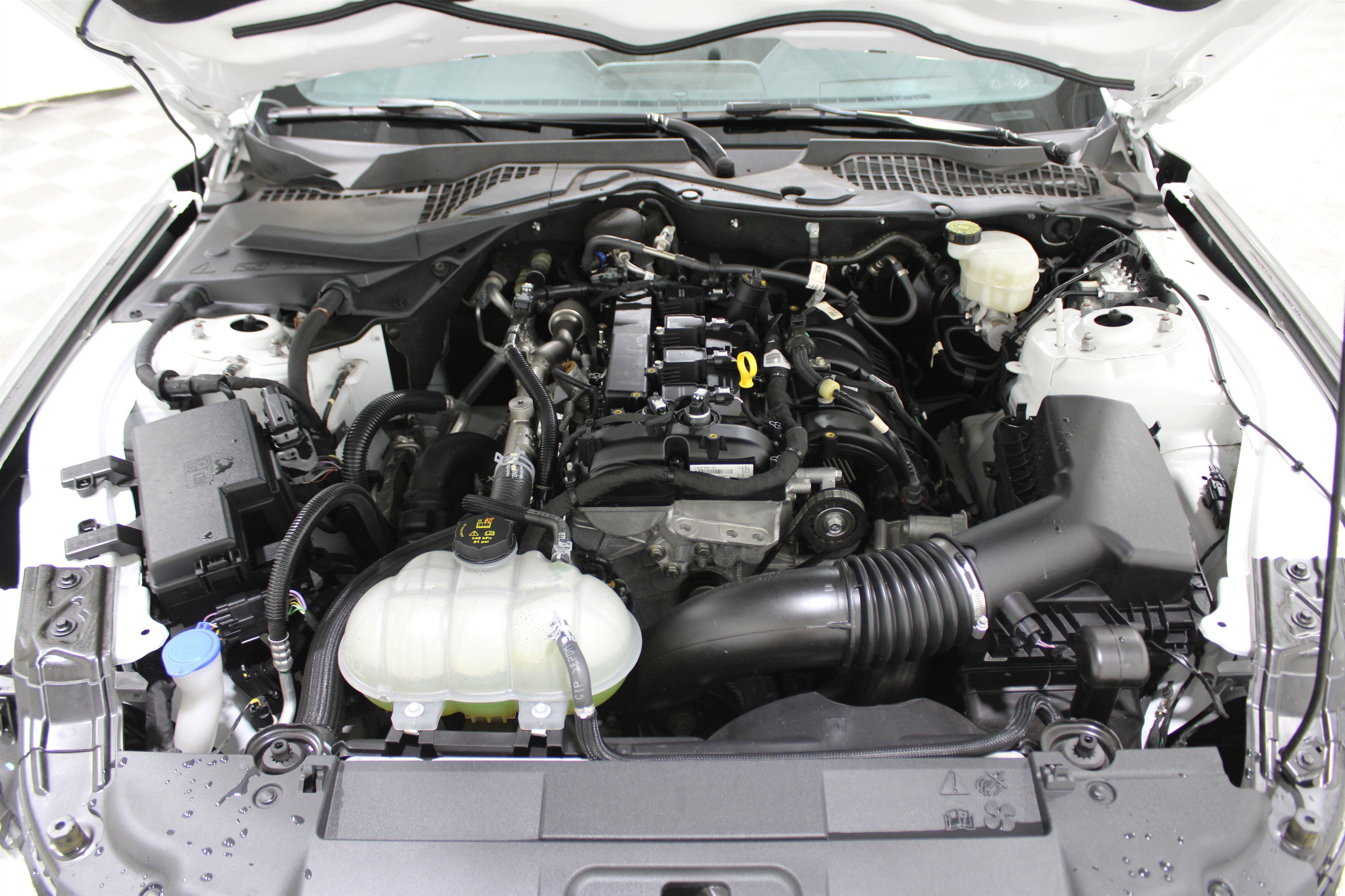 Used 2023 Ford Mustang Premium w/ Equipment Group 201A image 39