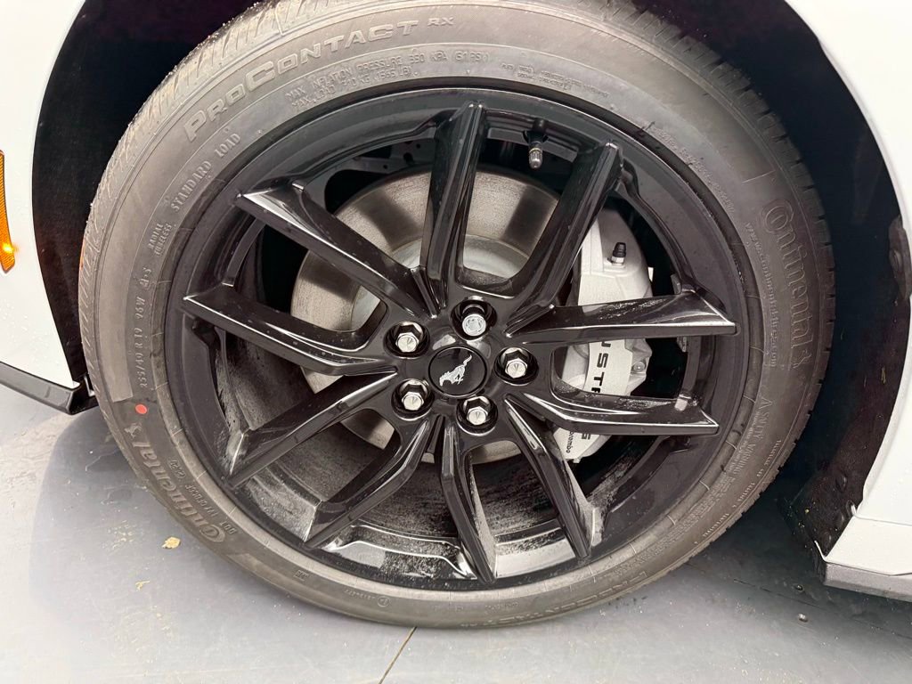 New 2025 Ford Mustang GT Premium w/ Mustang Nite Pony Package RWD image 22