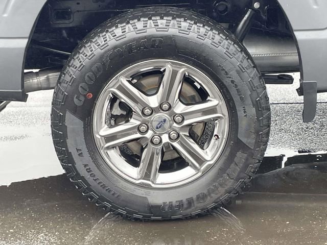 Certified 2025 Ford F150 XLT w/ Equipment Group 301A Standard image 7