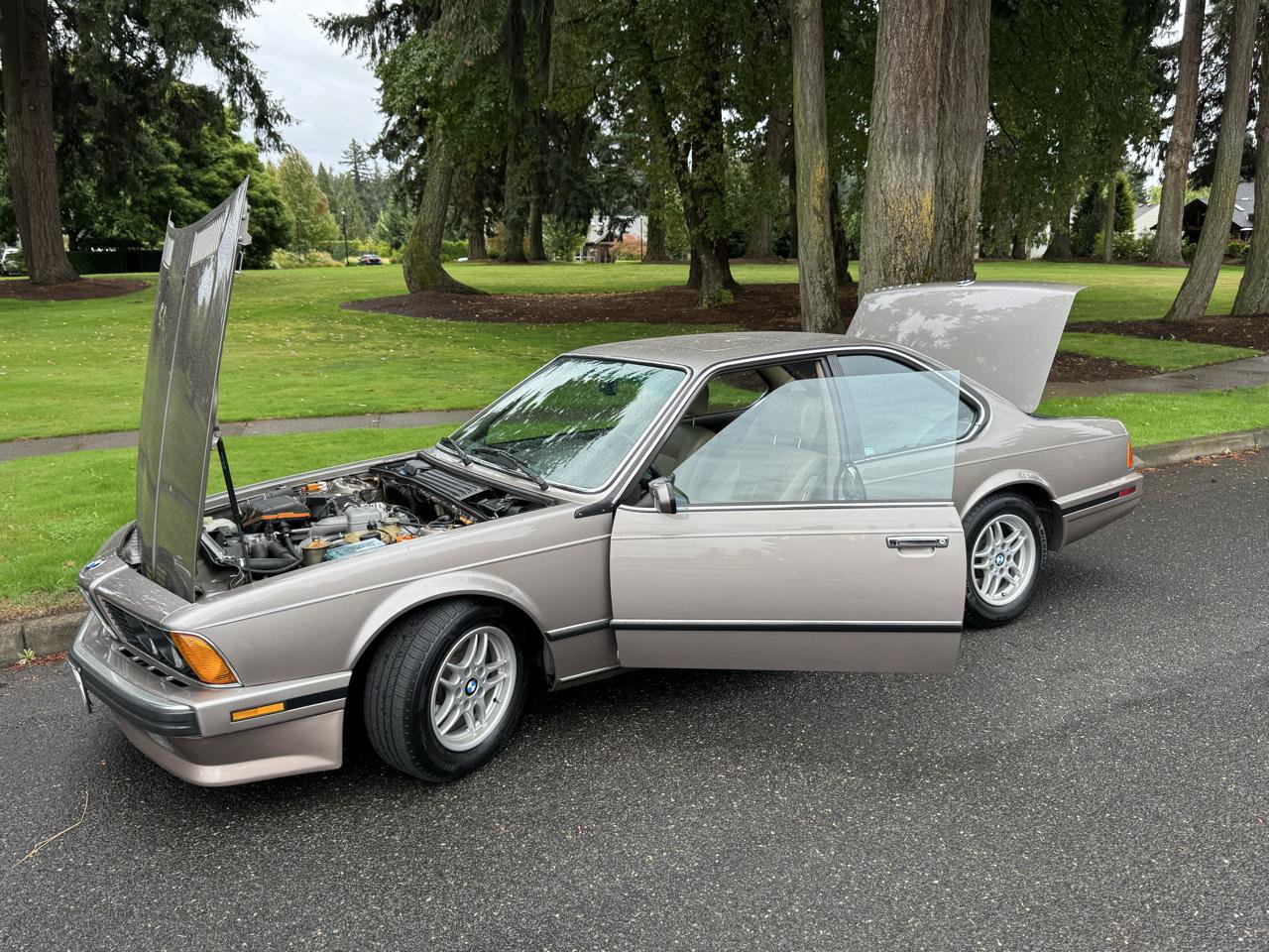 Used 1988 BMW 635CSi Coupe RWD image 48