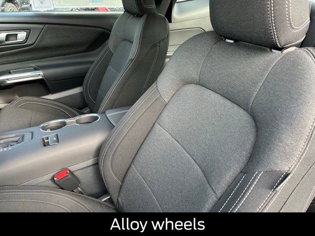 New 2026 Ford Mustang Coupe w/ Bronze Appearance Package image 13