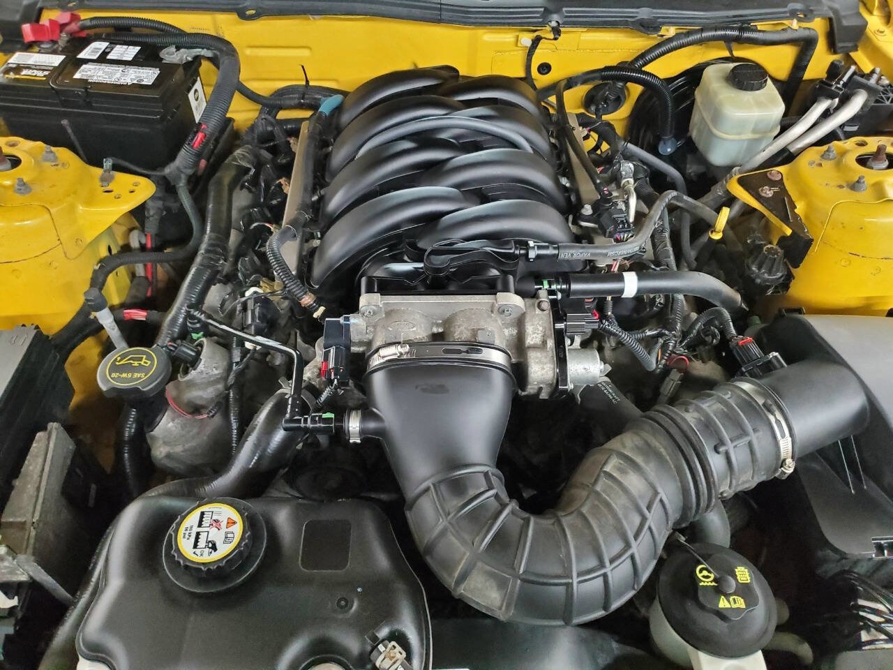 Used 2005 Ford Mustang GT Premium image 4