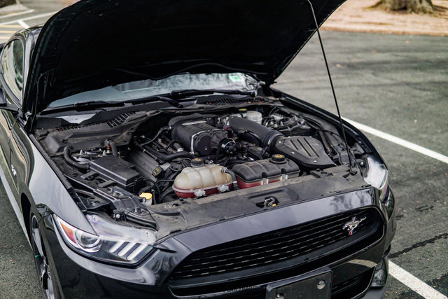 Used 2017 Ford Mustang GT Premium image 15