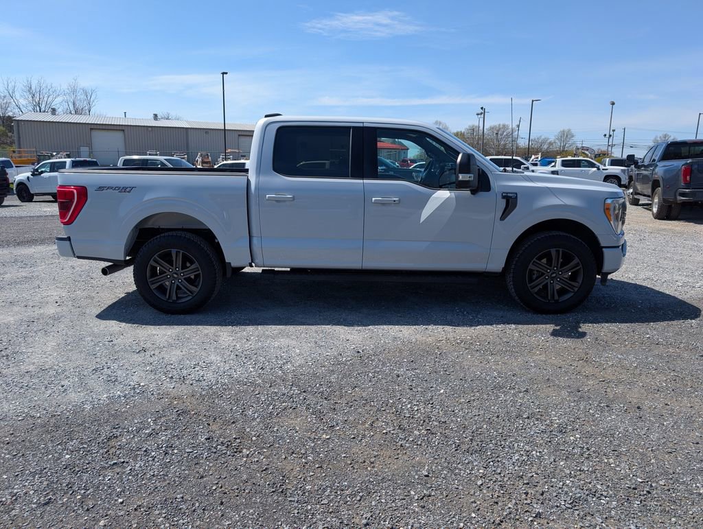 Used 2022 Ford F150 XLT w/ Equipment Group 302A High image 10