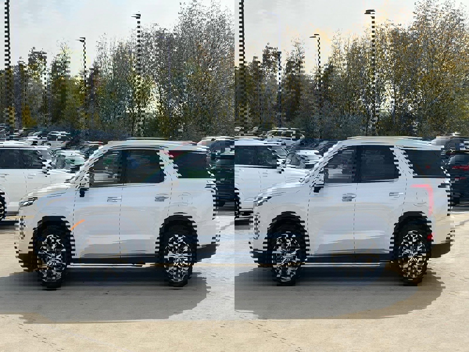 Used 2020 Hyundai Palisade SEL w/ Convenience Package image 6