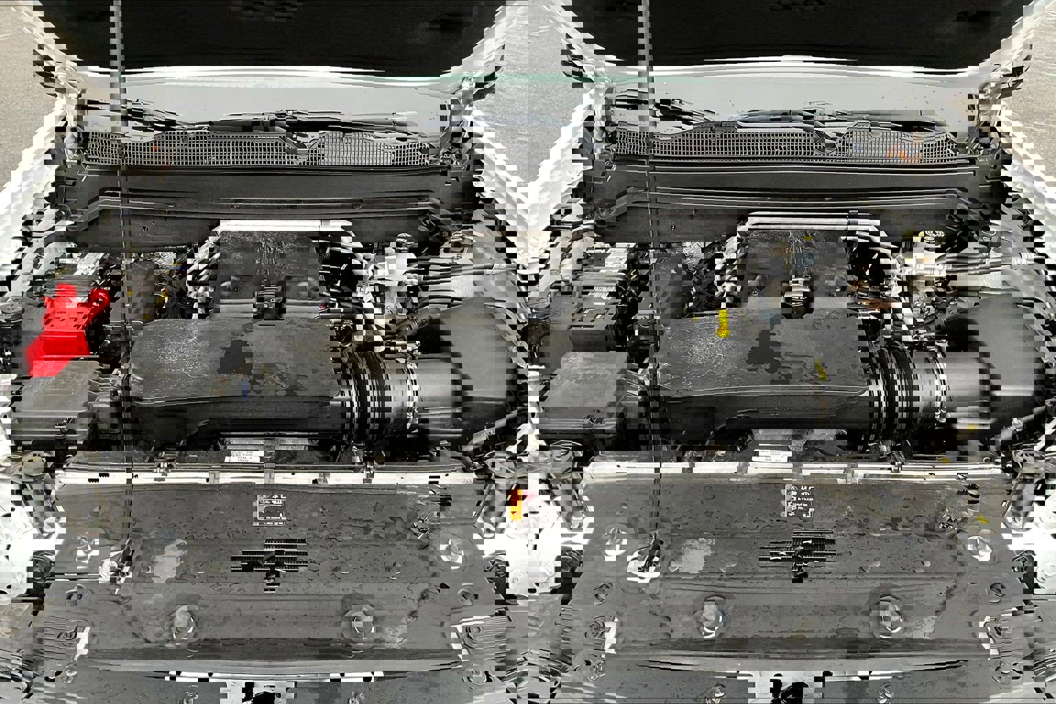 Used 2024 Chevrolet Colorado Trail Boss w/ Technology Package image 22