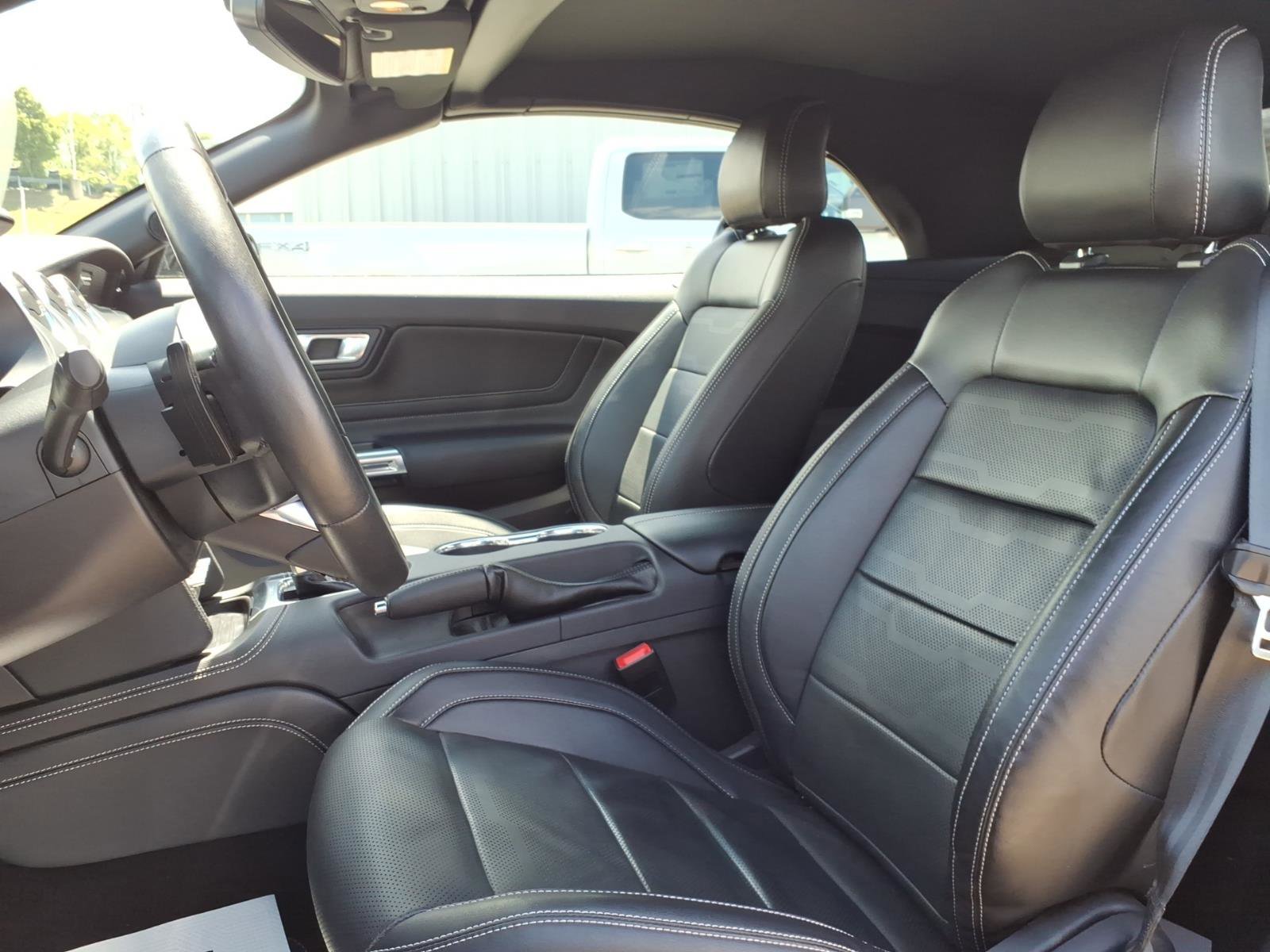 Used 2019 Ford Mustang GT Premium w/ Equipment Group 401A RWD image 8
