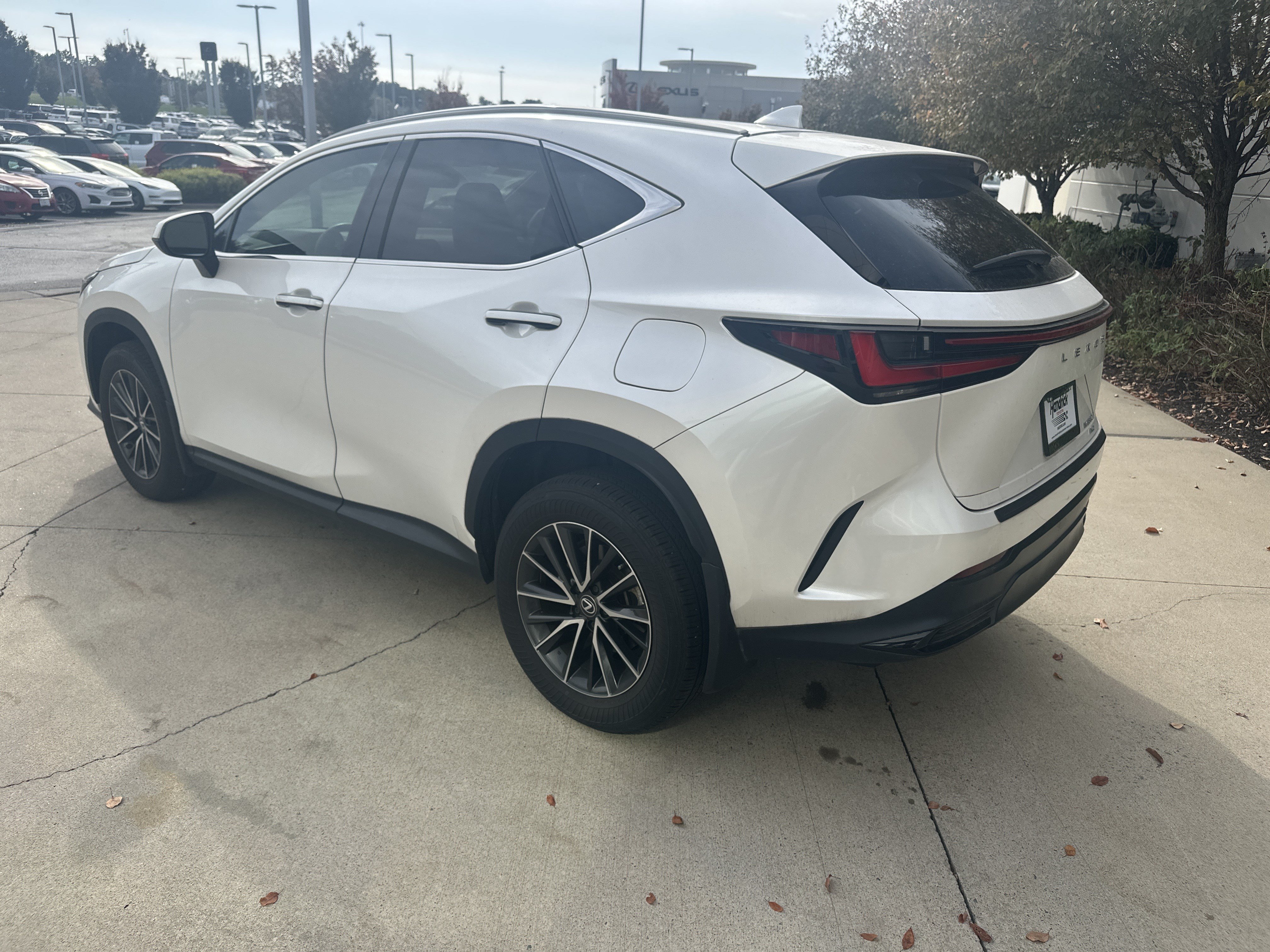 Used 2024 Lexus NX 350 AWD w/ Cold Area Package image 7