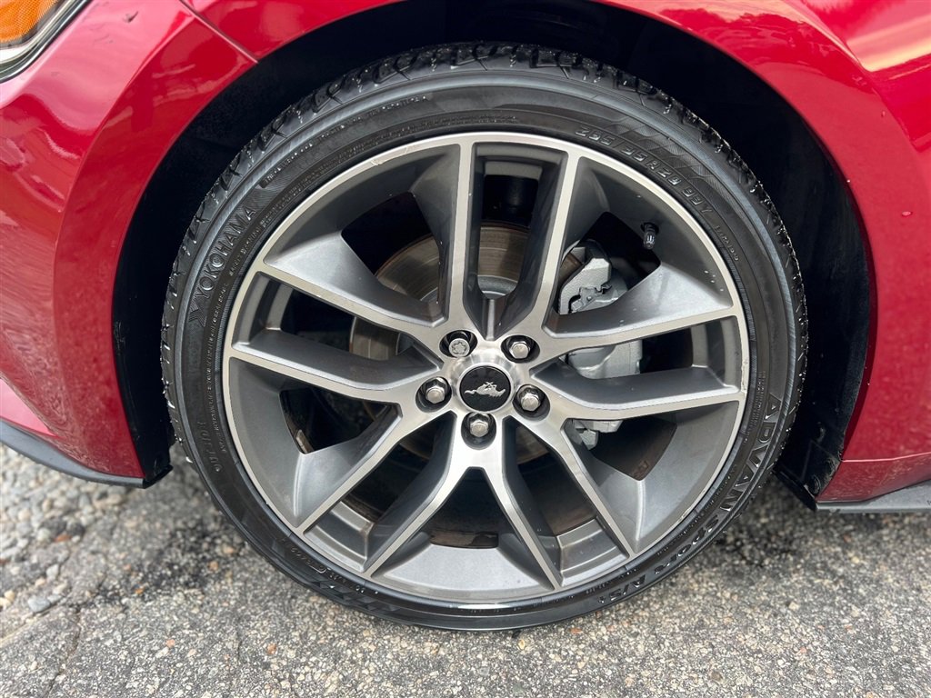 Used 2017 Ford Mustang Premium w/ Enhanced Security Package image 10