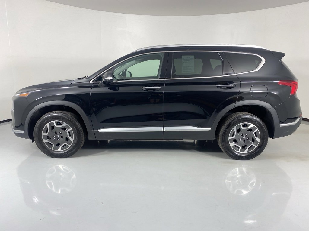 Used 2023 Hyundai Santa Fe Blue image 4