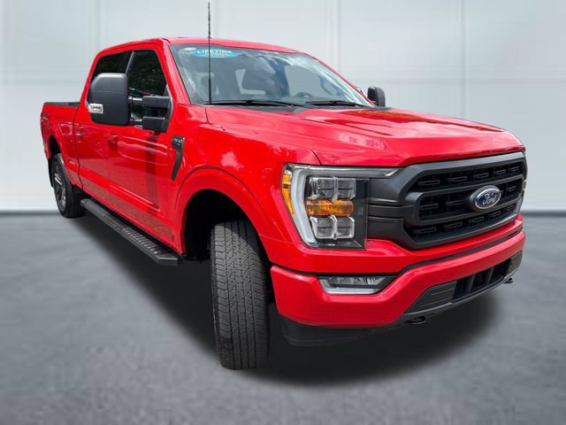 Used 2023 Ford F150 XLT w/ Equipment Group 302A High AWD/4WD image 5