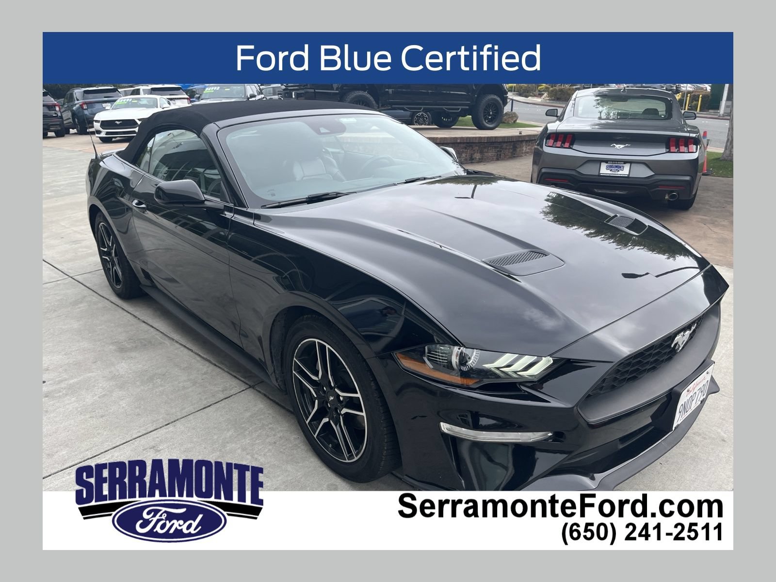 Used 2022 Ford Mustang Premium RWD video 1
