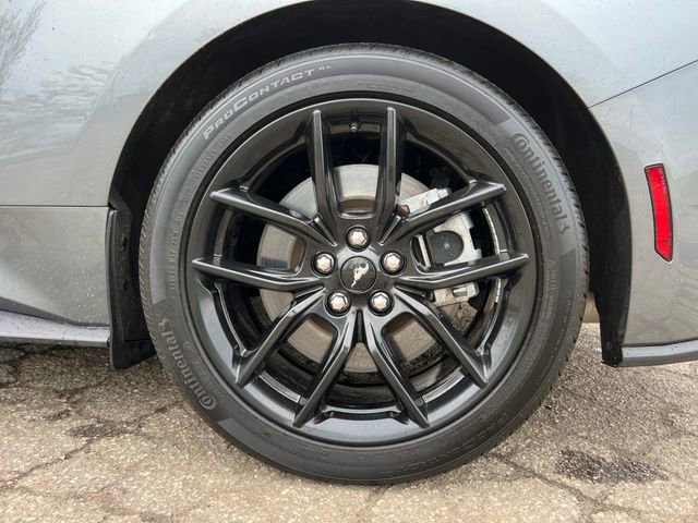 Used 2025 Ford Mustang GT Premium w/ Mustang Nite Pony Package RWD image 15