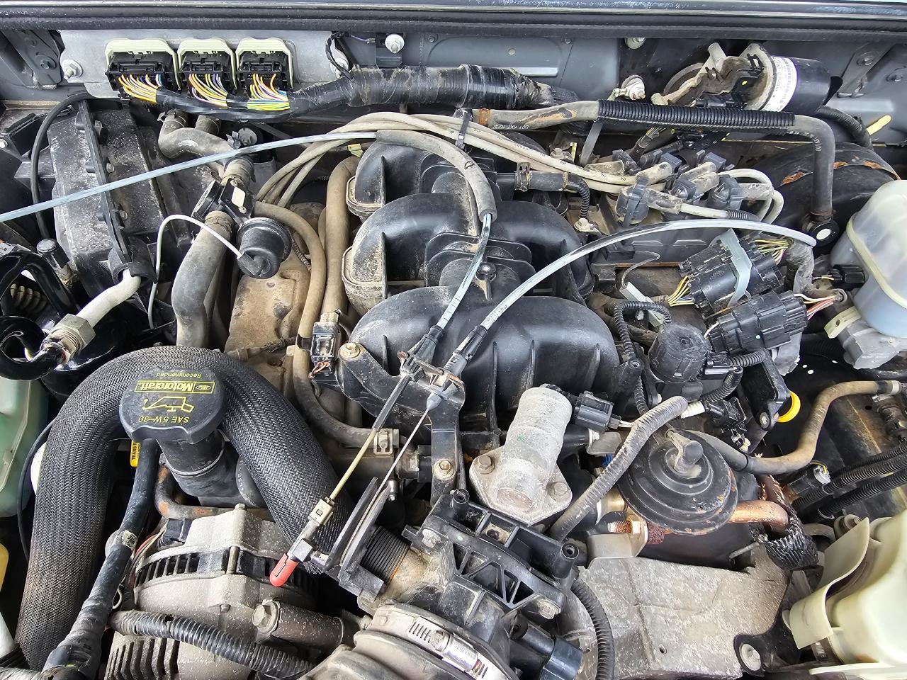Used 2009 Ford Ranger Sport RWD image 27