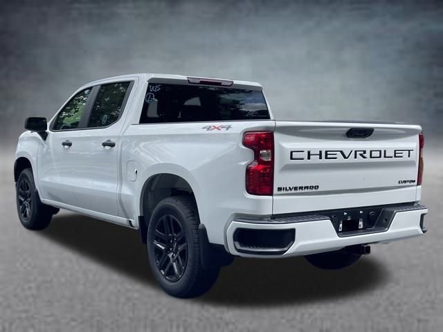 New 2025 Chevrolet Silverado 1500 Custom w/ LPO, Dark Essentials Package image 19