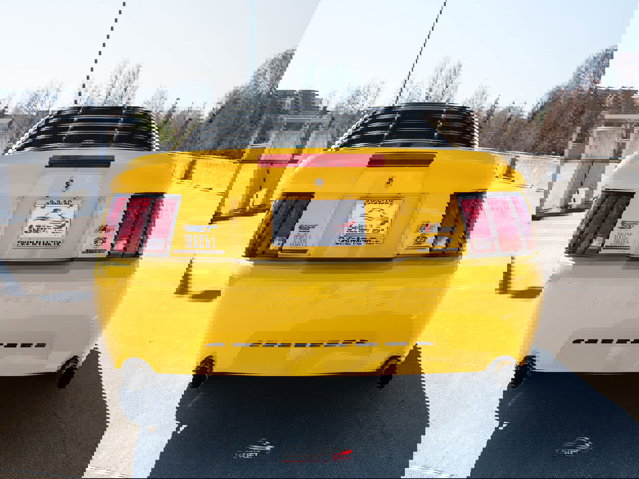 Used 2004 Ford Mustang Mach 1 image 6