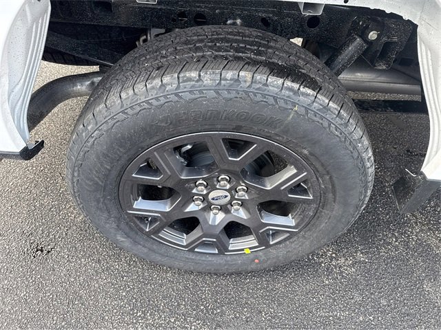 New 2026 Ford F150 STX w/ Equipment Group 200A image 13