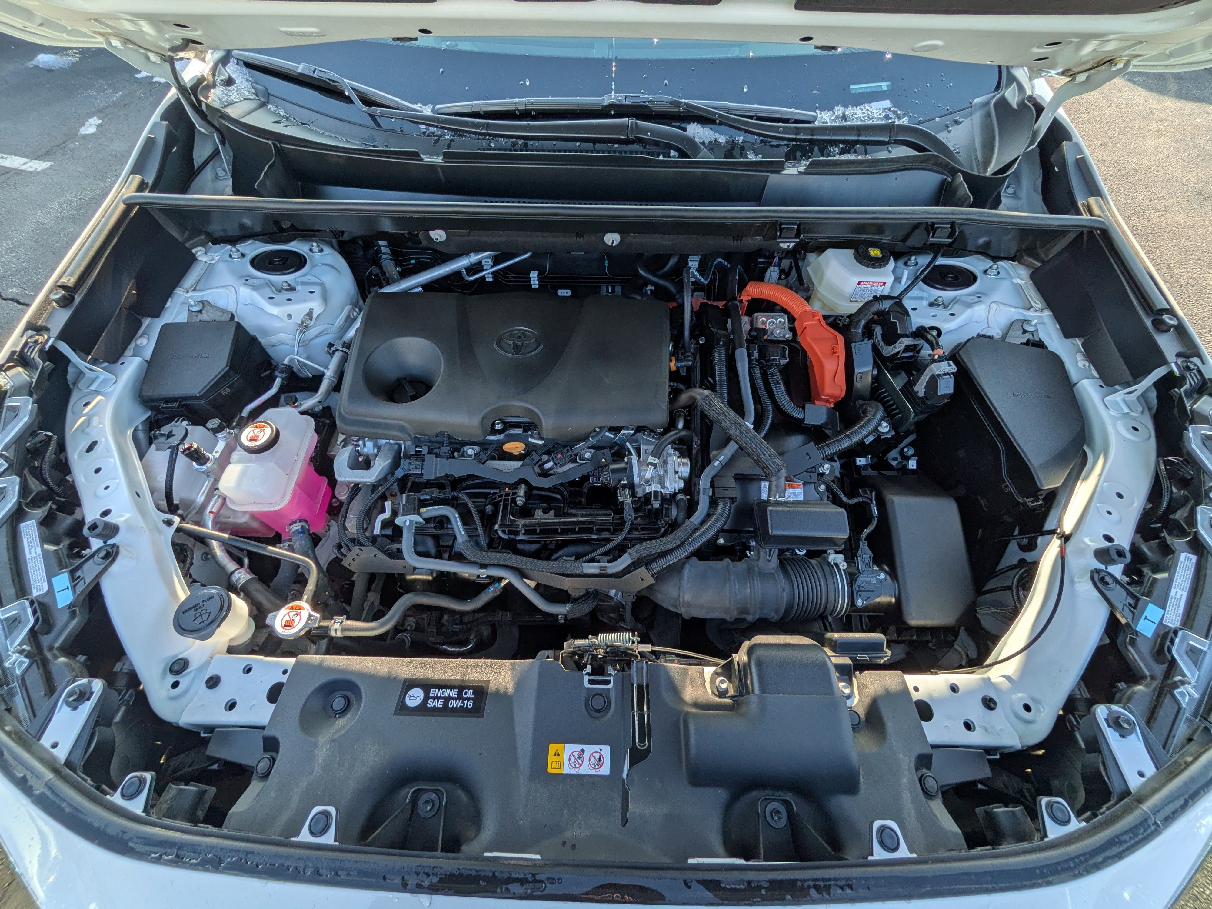 Certified 2024 Toyota RAV4 XLE image 21