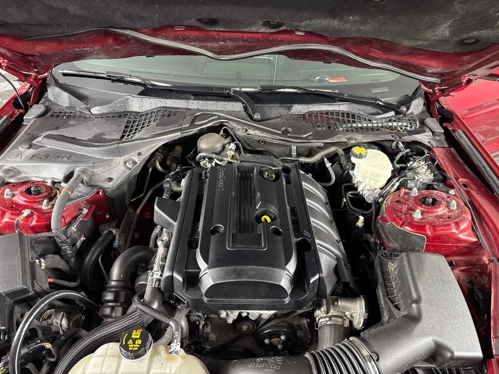 Used 2017 Ford Mustang Premium w/ Equipment Group 201A RWD image 9