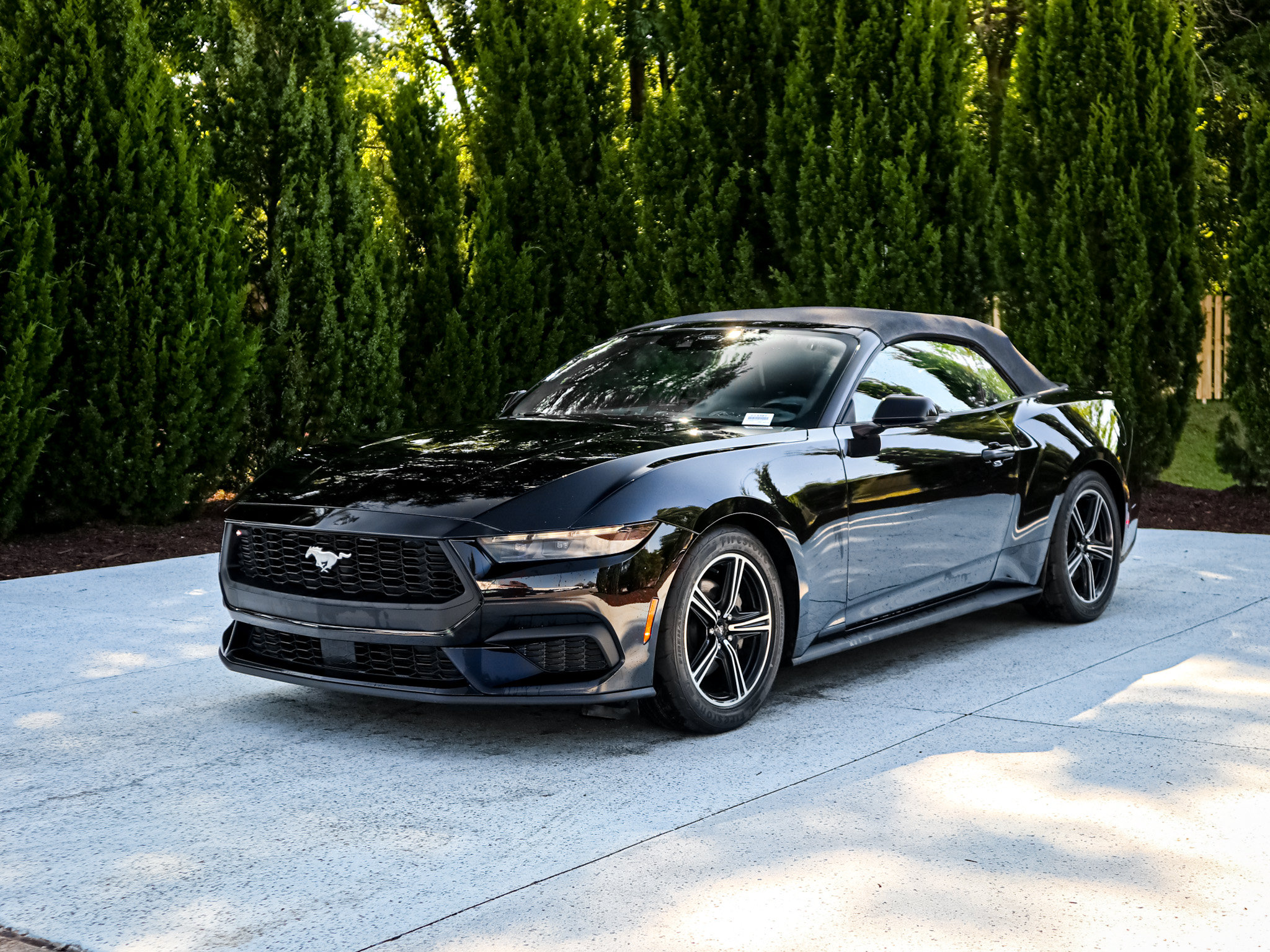 Used 2025 Ford Mustang Premium RWD image 5