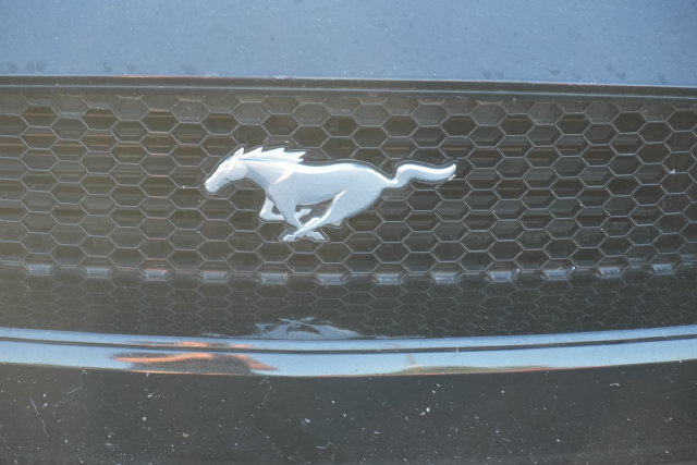 Used 2019 Ford Mustang GT Premium w/ Equipment Group 401A RWD image 6