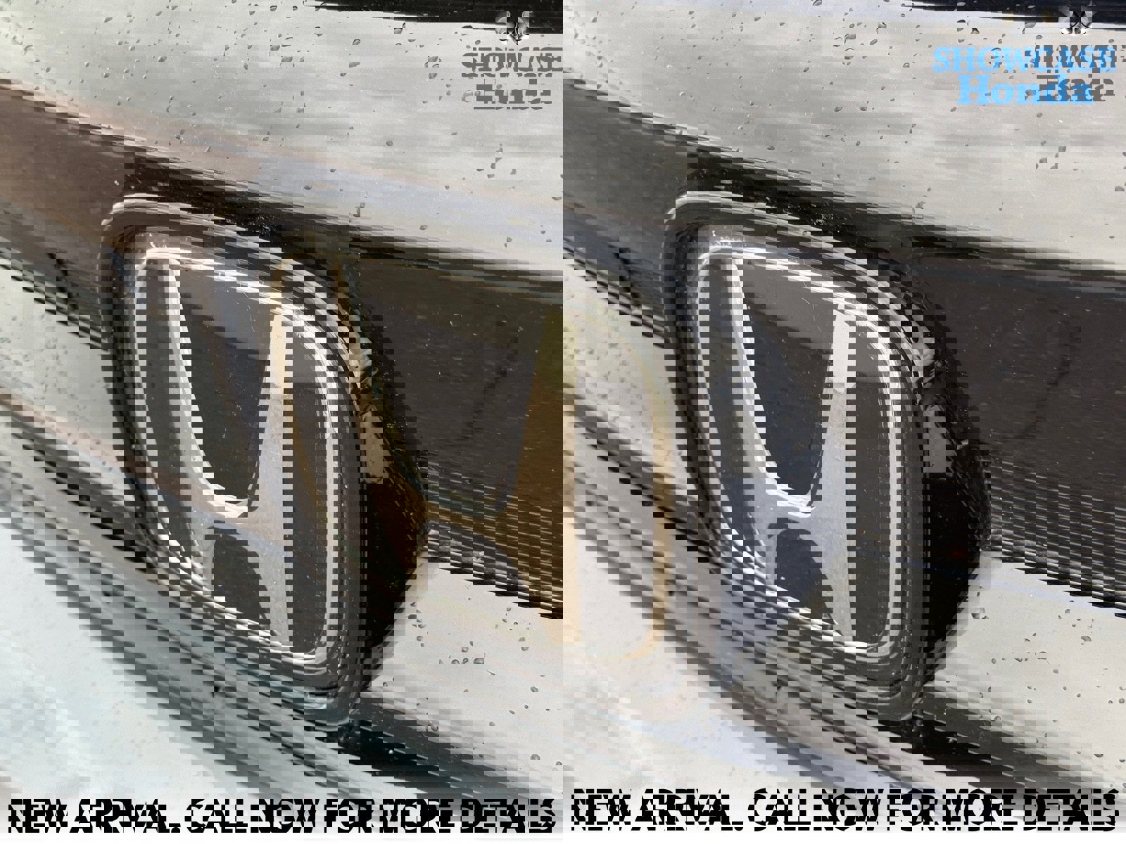 Used 2022 Honda Pilot Sport image 13