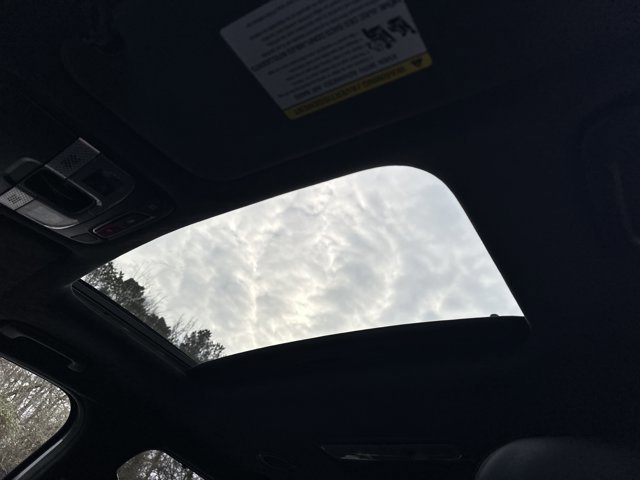 Used 2025 Kia Telluride SX Prestige X-Line image 38