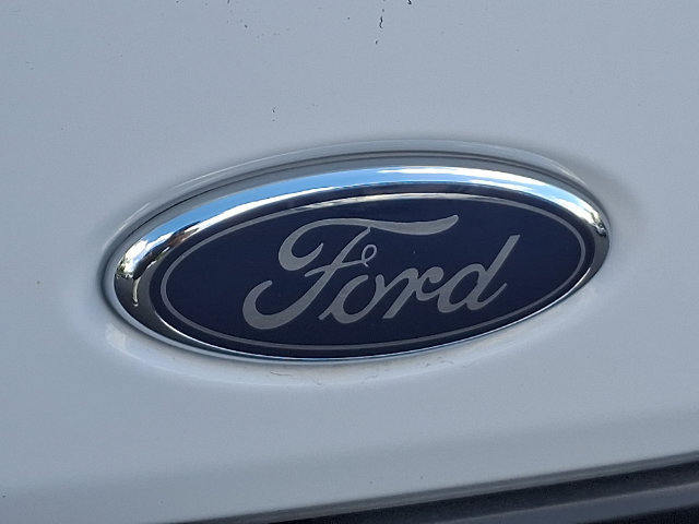 Certified 2025 Ford Transit 250 Low Roof w/ Exterior Upgrade Package RWD image 29