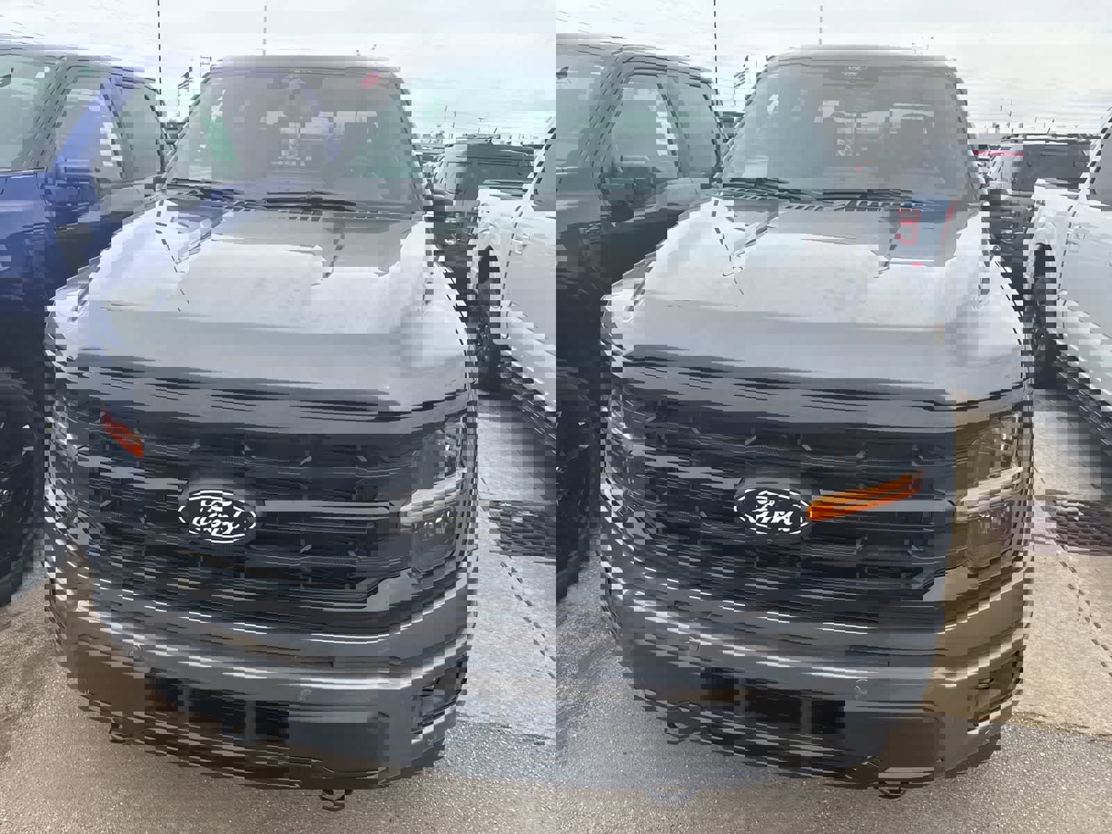 New 2026 Ford F150 XLT w/ Equipment Group 302A MID image 19