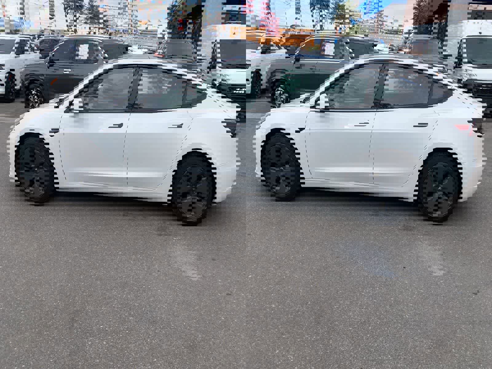 Used 2023 Tesla Model 3 Standard Range image 9