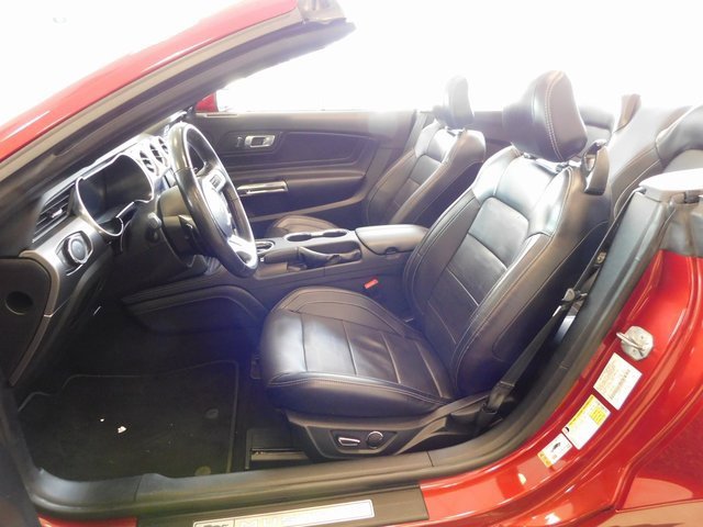 Used 2019 Ford Mustang GT Premium w/ Equipment Group 401A image 11