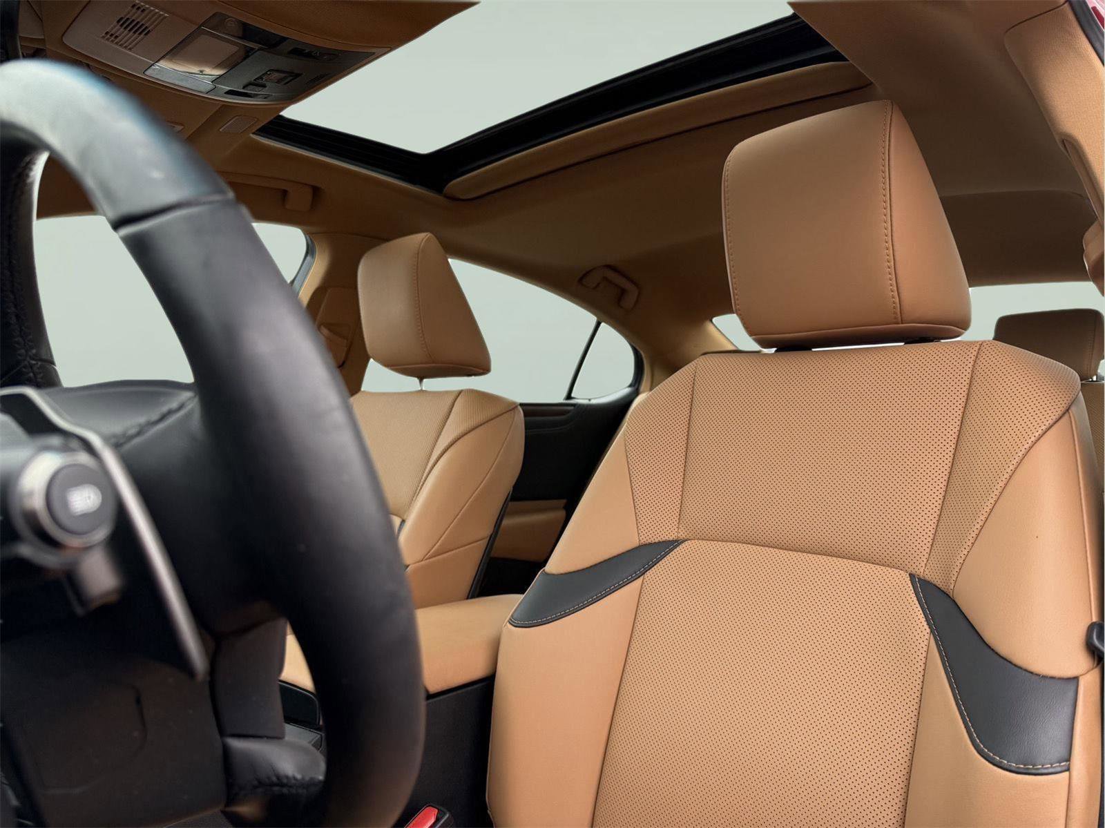 Certified 2023 Lexus ES 250 w/ Premium Package image 13