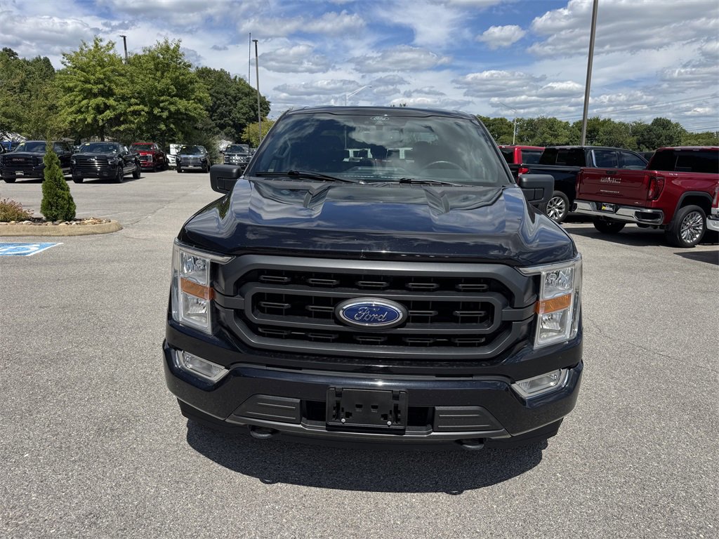 Used 2021 Ford F150 XLT w/ Equipment Group 301A Mid image 8