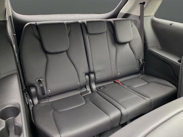 New 2026 Kia Carnival SX Prestige image 41