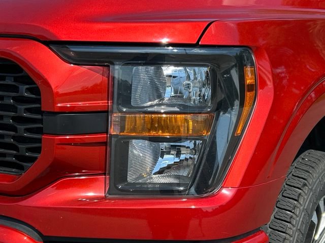 Used 2023 Ford F150 XL w/ STX Appearance Package AWD/4WD image 12