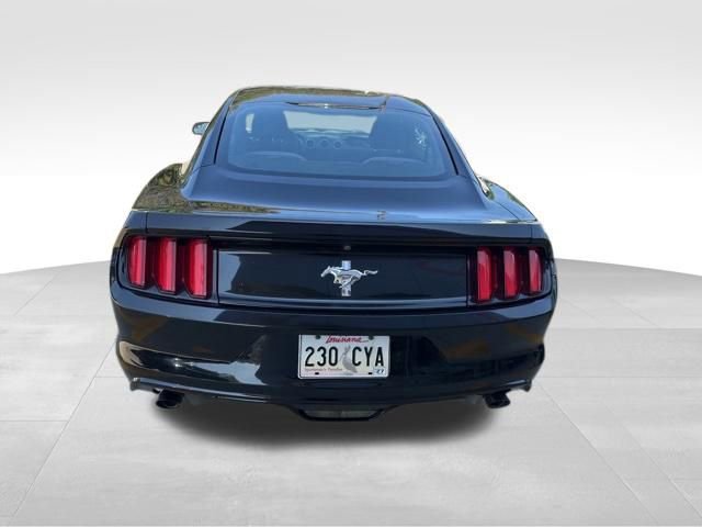 Used 2017 Ford Mustang Coupe image 5
