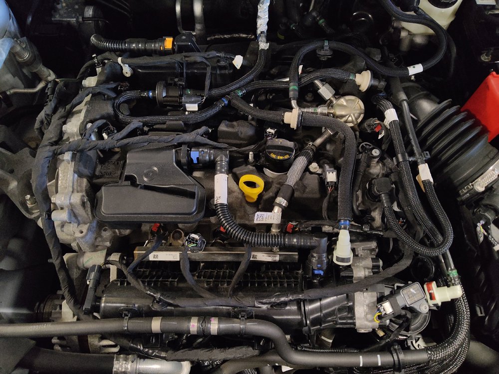 Used 2022 Ford Escape SE FWD image 30