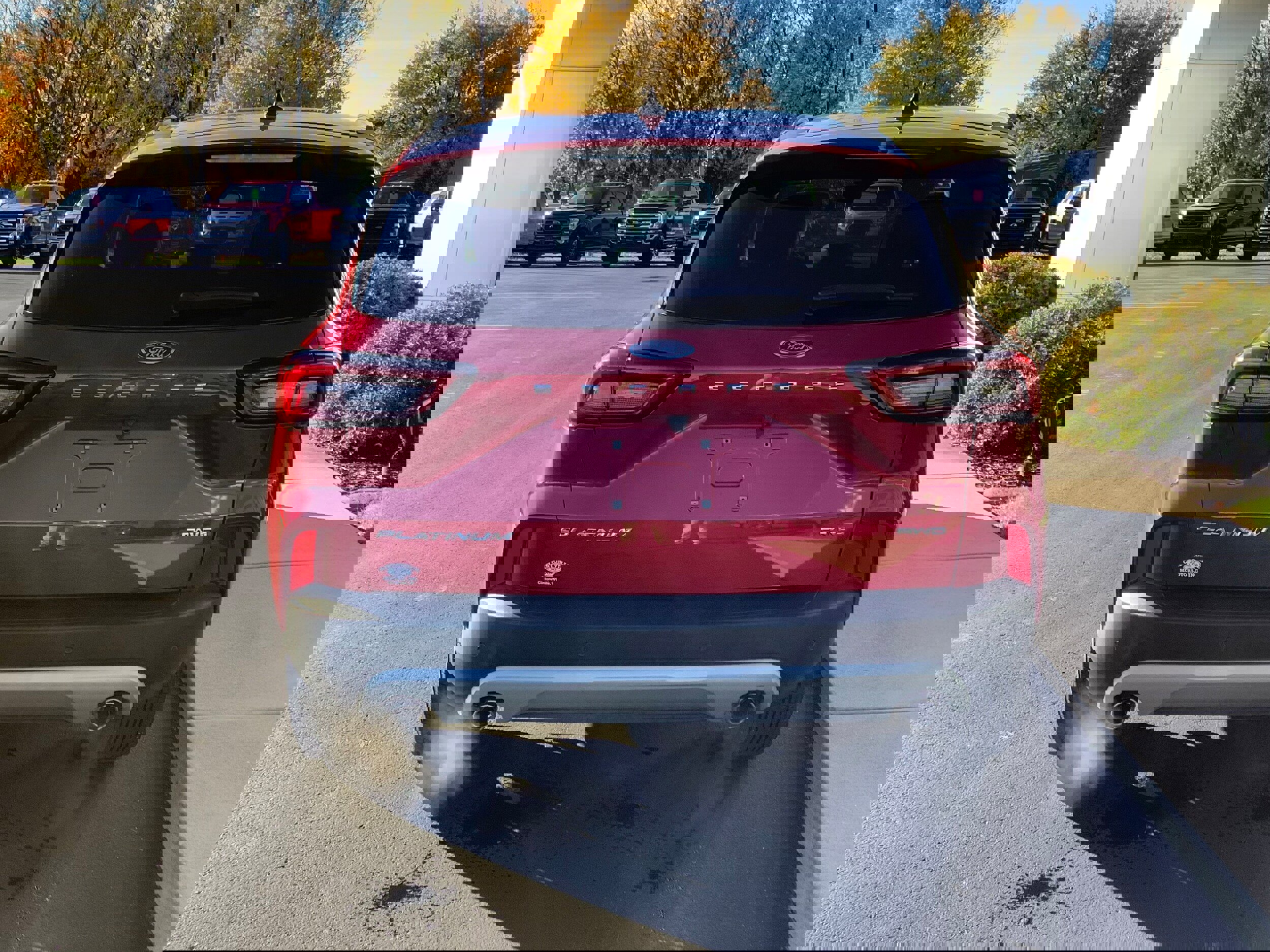 Certified 2023 Ford Escape Platinum image 5