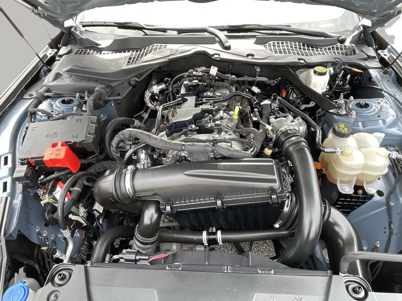 Used 2024 Ford Mustang Premium RWD image 9