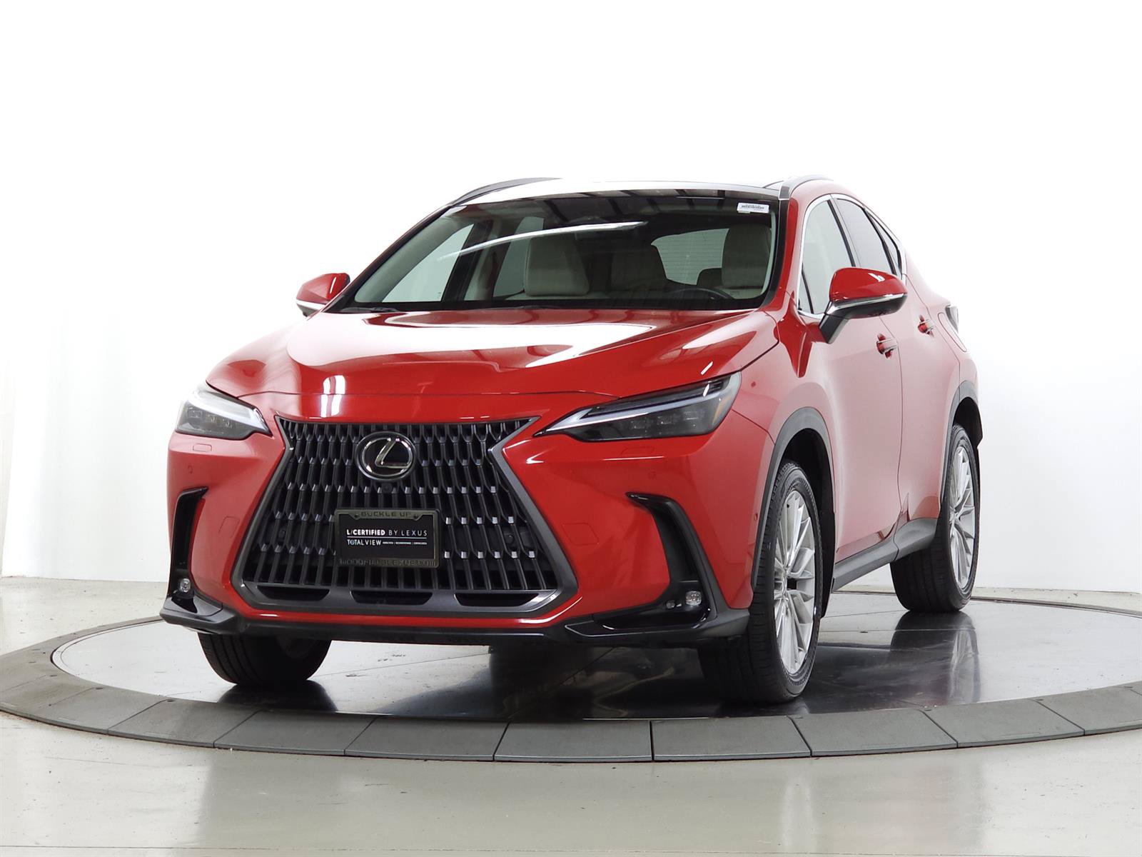 Certified 2025 Lexus NX 350 AWD w/ Cold Area Package image 4