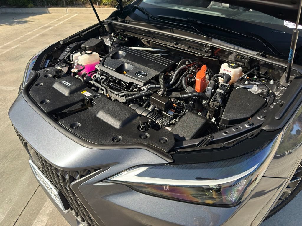Certified 2024 Lexus NX 350h AWD w/ Cold Area Package image 6