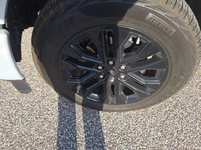 Used 2025 Ford F150 XLT w/ Equipment Group 302A MID image 7