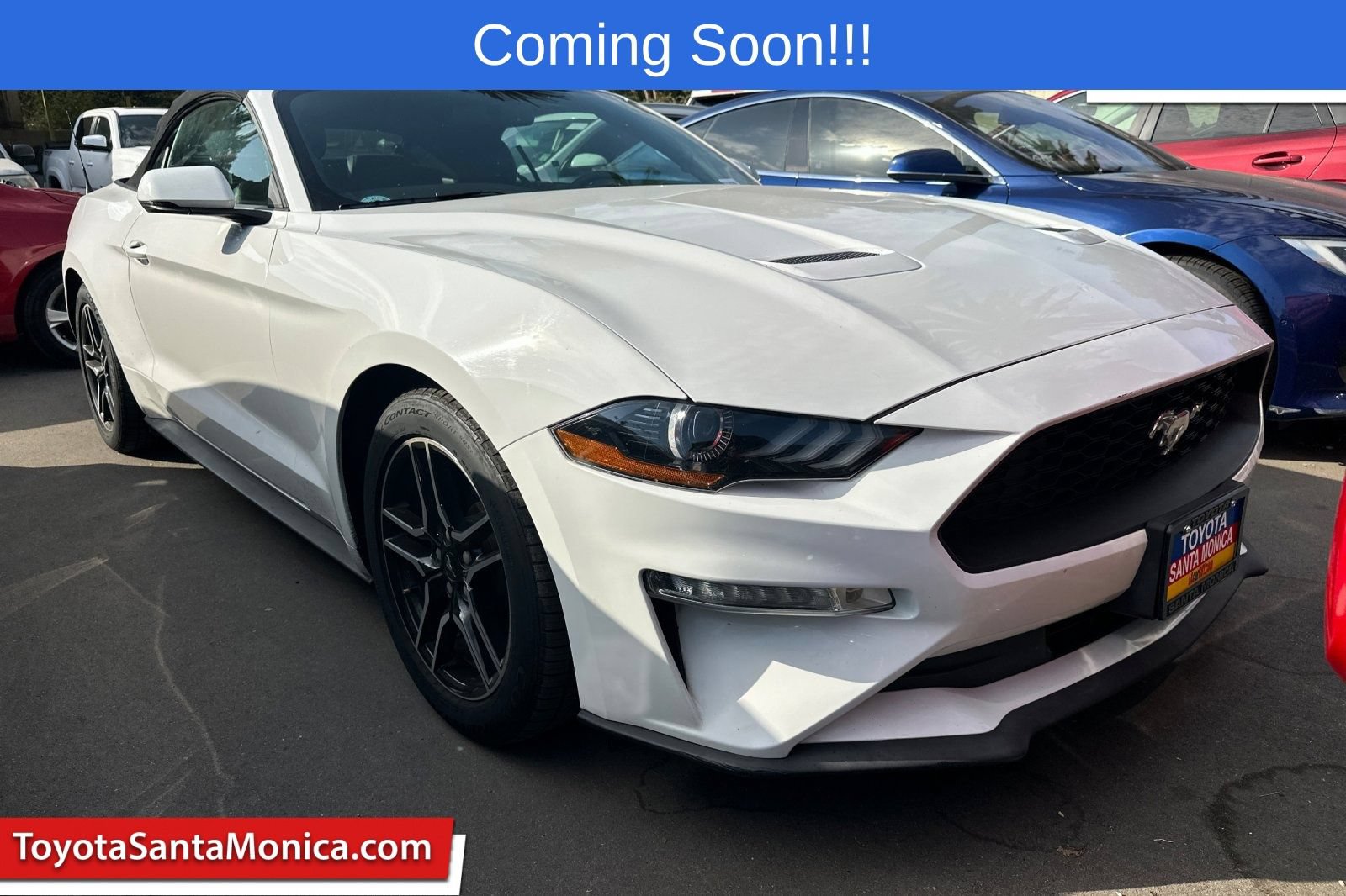 Used 2019 Ford Mustang Premium