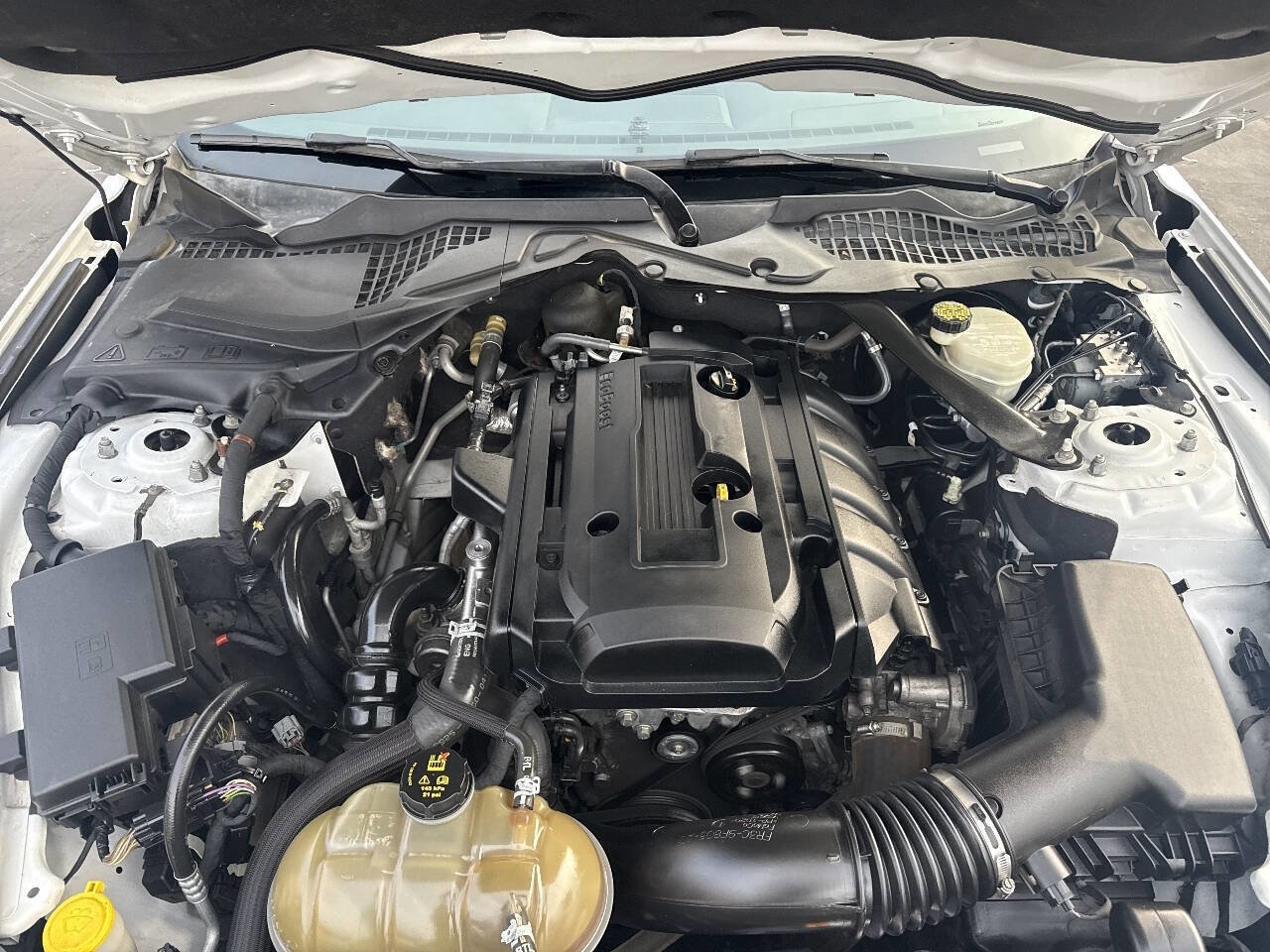 Used 2016 Ford Mustang Premium image 20