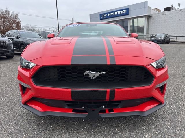 Used 2022 Ford Mustang Premium w/ Equipment Group 201A image 2
