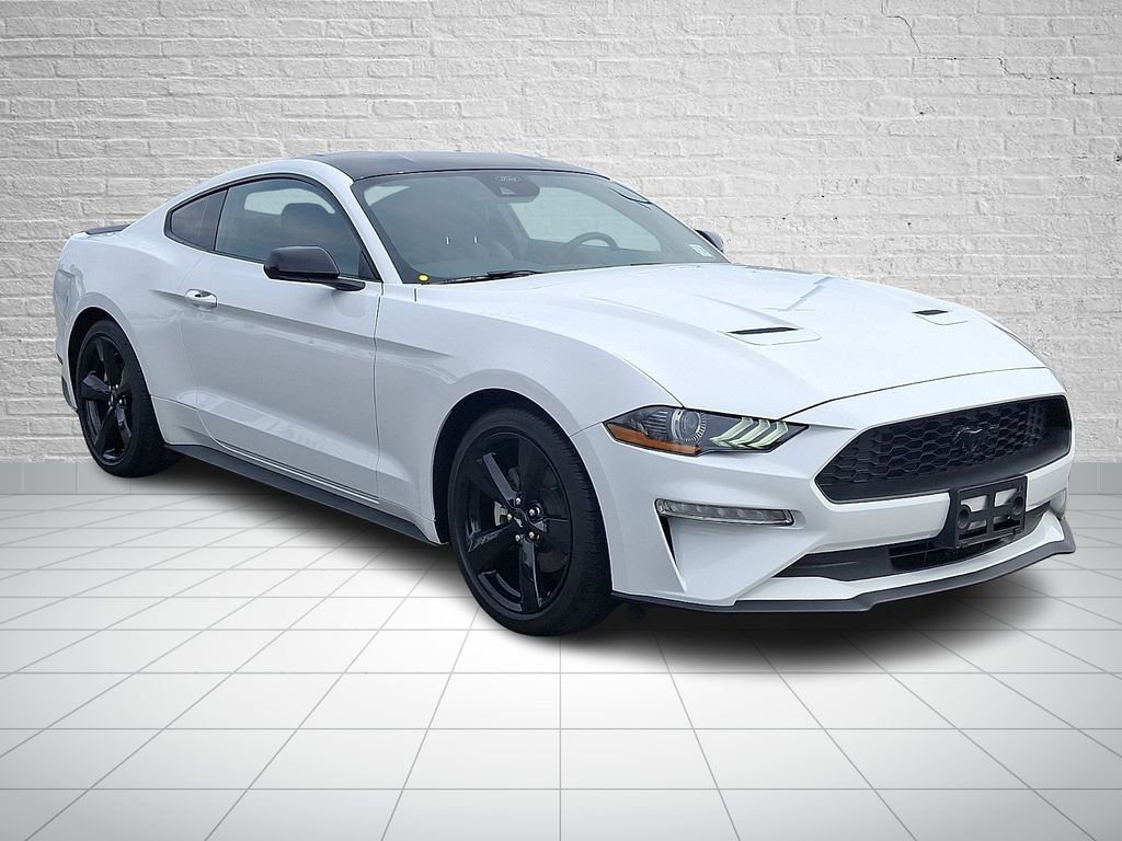 Used 2023 Ford Mustang EcoBoost w/ Mustang Nite Pony Package image 3