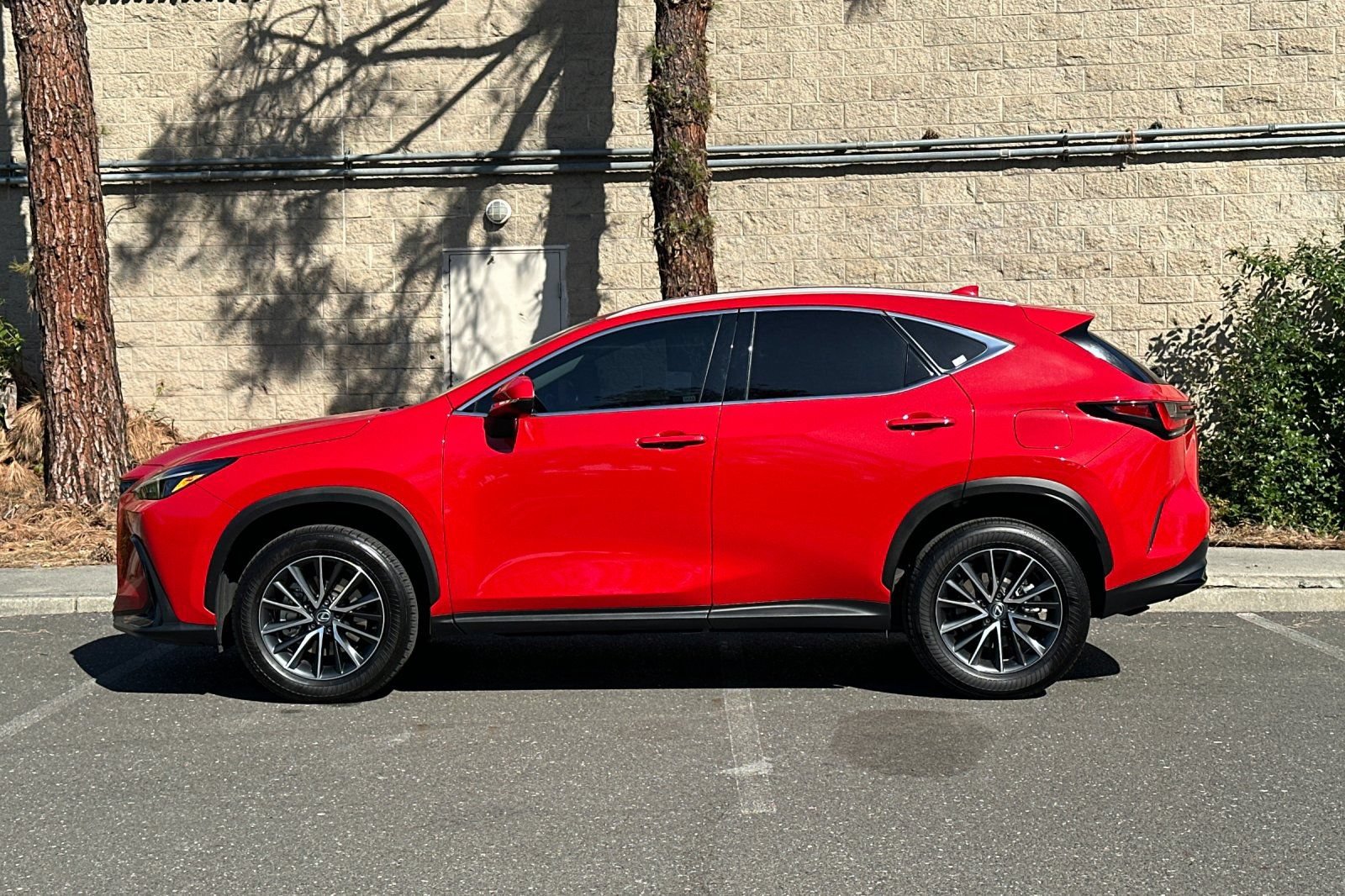 Used 2024 Lexus NX 350 AWD w/ Cold Area Package image 6