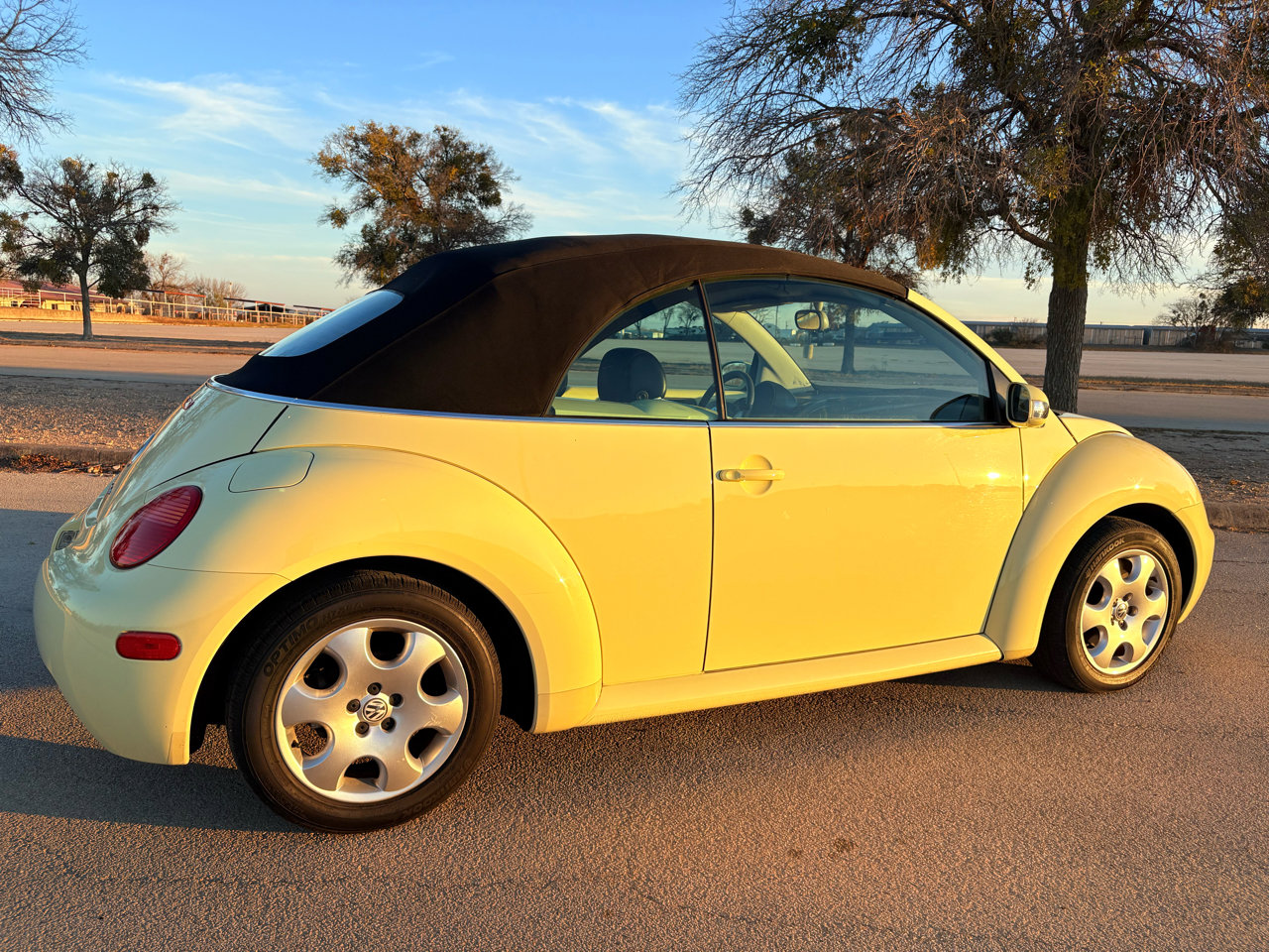 Used 2003 Volkswagen Beetle GLS image 14